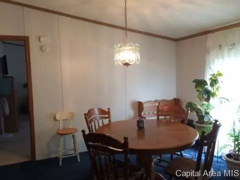887 Kamm Rd, Springfield, IL 62707 photo 11