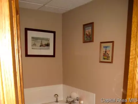 212 Maple Grv, Springfield, IL 62712 photo 10