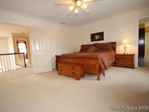 3501 Peach Tree Dr, Springfield, IL 62711 photo 16