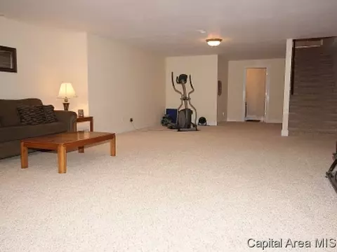 3501 Peach Tree Dr, Springfield, IL 62711 photo 19