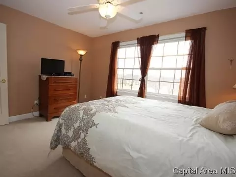 3501 Peach Tree Dr, Springfield, IL 62711 photo 13
