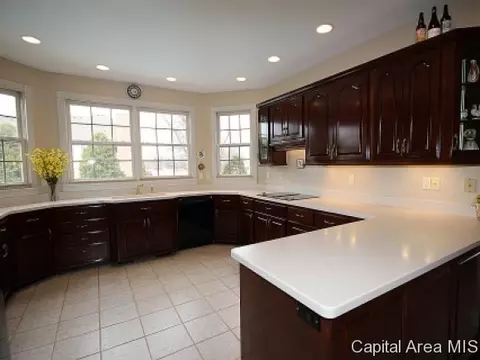 3501 Peach Tree Dr, Springfield, IL 62711 photo 10