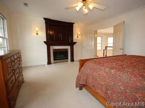 3501 Peach Tree Dr, Springfield, IL 62711 photo 17