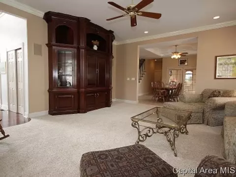 3501 Peach Tree Dr, Springfield, IL 62711 photo 5