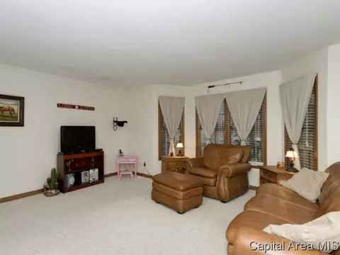 14332 Sandy Pt, Athens, IL 62613 photo 12
