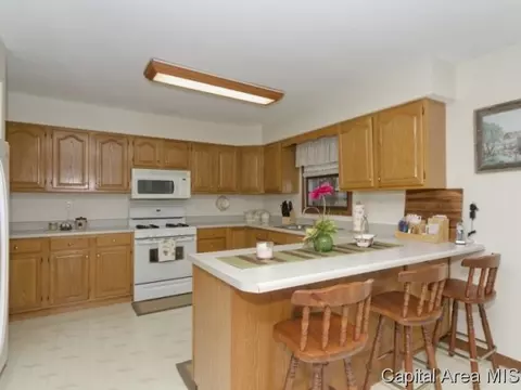 14332 Sandy Pt, Athens, IL 62613 photo 3