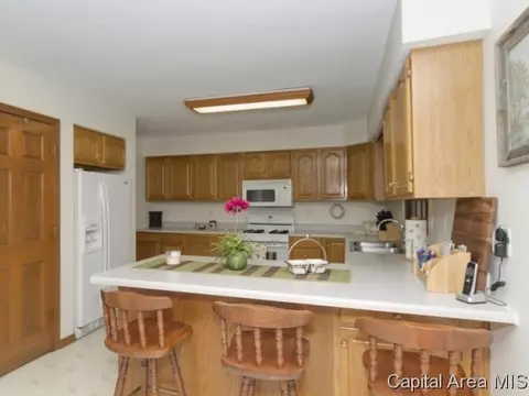 14332 Sandy Pt, Athens, IL 62613 photo 2