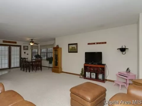 14332 Sandy Pt, Athens, IL 62613 photo 13