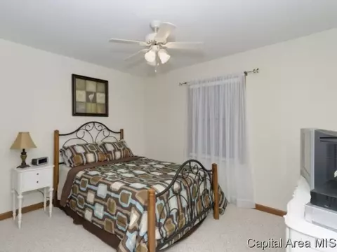 14332 Sandy Pt, Athens, IL 62613 photo 15