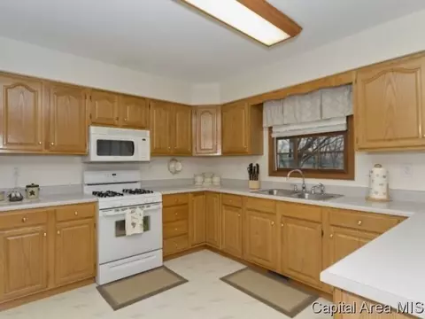 14332 Sandy Pt, Athens, IL 62613 photo 4