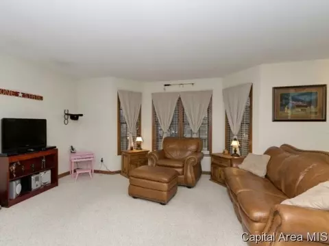 14332 Sandy Pt, Athens, IL 62613 photo 11