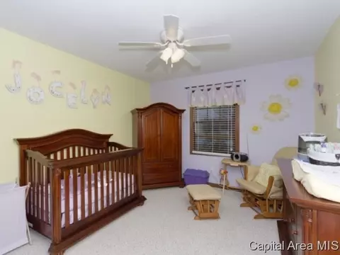 14332 Sandy Pt, Athens, IL 62613 photo 16