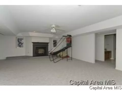 311 E Oak Grove Dr, Athens, IL 62613 photo 15