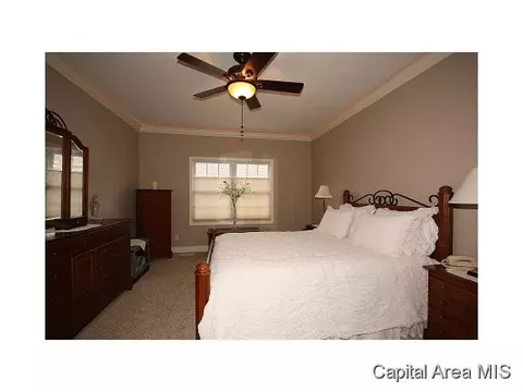 1 Niblick Ln, Springfield, IL 62707 photo 16