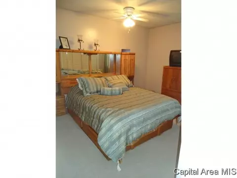 725 Helene St, Springfield, IL 62702 photo 4