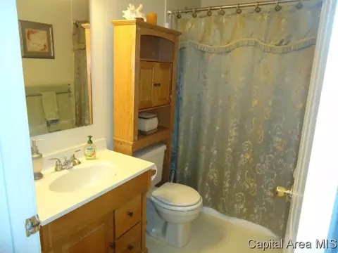 725 Helene St, Springfield, IL 62702 photo 9