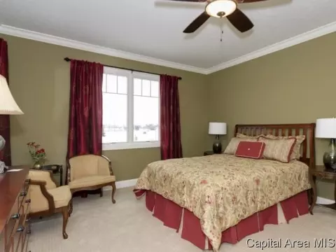 3952 Waterstone Way, Springfield, IL 62711 photo 12