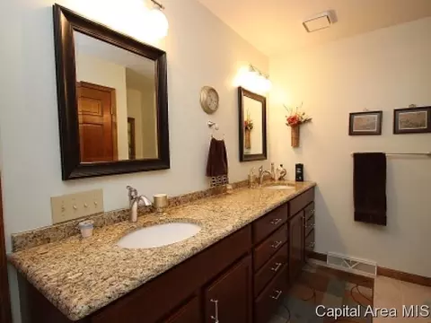 604 N Durkin Dr, Springfield, IL 62702 photo 18