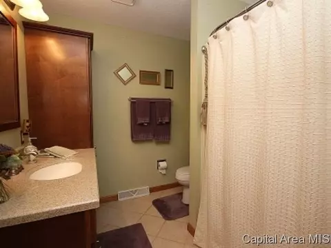 604 N Durkin Dr, Springfield, IL 62702 photo 20