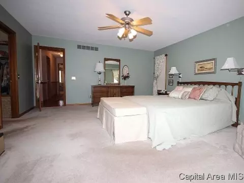 604 N Durkin Dr, Springfield, IL 62702 photo 15