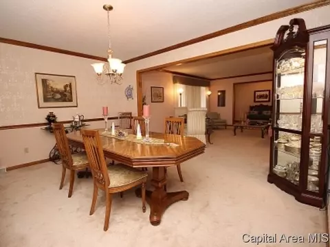 604 N Durkin Dr, Springfield, IL 62702 photo 10