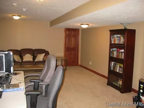 4802 Johanne Ct, Springfield, IL 62711 photo 15