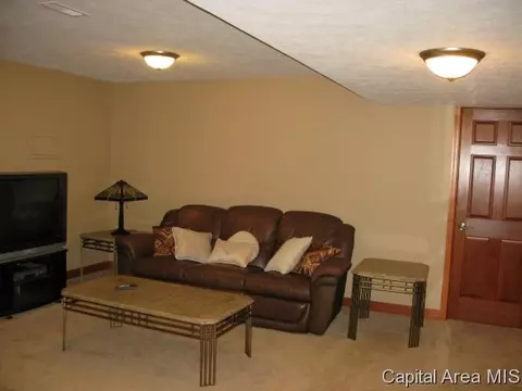 4802 Johanne Ct, Springfield, IL 62711 photo 14