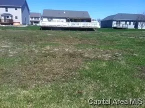 4113 Garry, Springfield, IL 62712 photo 1