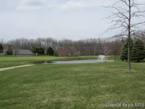 4701 Wildcat Run, Springfield, IL 62711 photo 21
