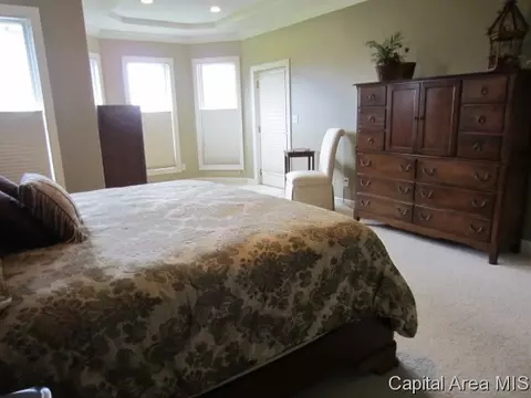 4701 Wildcat Run, Springfield, IL 62711 photo 11