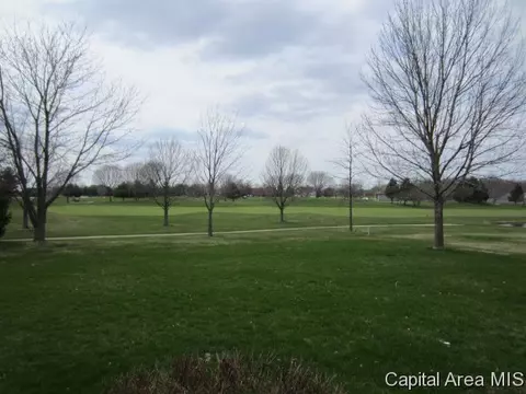 4701 Wildcat Run, Springfield, IL 62711 photo 20