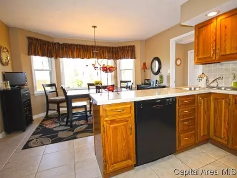 1305 Pine Valley Ct, Springfield, IL 62704 photo 7