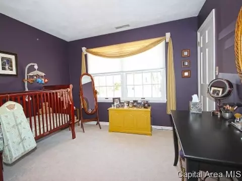 1305 Pine Valley Ct, Springfield, IL 62704 photo 15