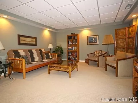 1305 Pine Valley Ct, Springfield, IL 62704 photo 18