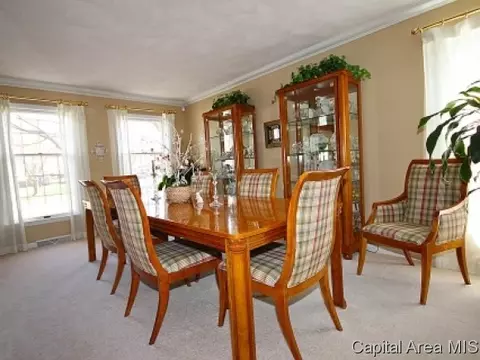 1305 Pine Valley Ct, Springfield, IL 62704 photo 11