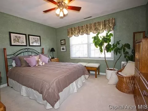 1305 Pine Valley Ct, Springfield, IL 62704 photo 13