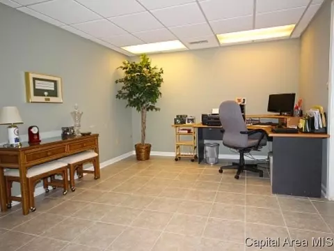 1305 Pine Valley Ct, Springfield, IL 62704 photo 19