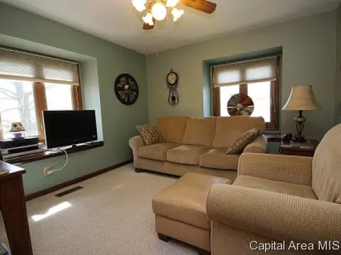 2316 Grinnell Dr, Springfield, IL 62704 photo 11