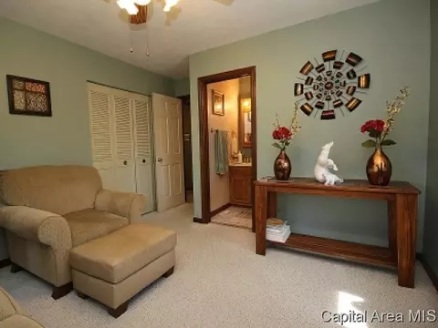 2316 Grinnell Dr, Springfield, IL 62704 photo 10