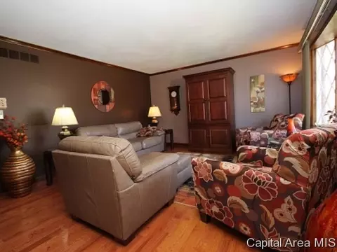 2316 Grinnell Dr, Springfield, IL 62704 photo 4