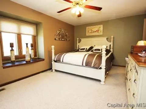 2316 Grinnell Dr, Springfield, IL 62704 photo 16