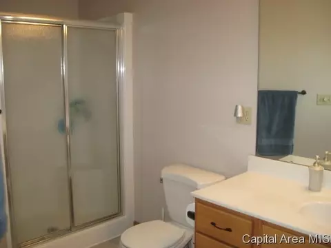 17 Spring, Riverton, IL 62561 photo 17