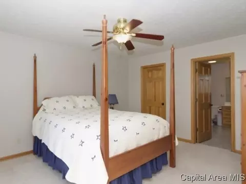17 Spring, Riverton, IL 62561 photo 13