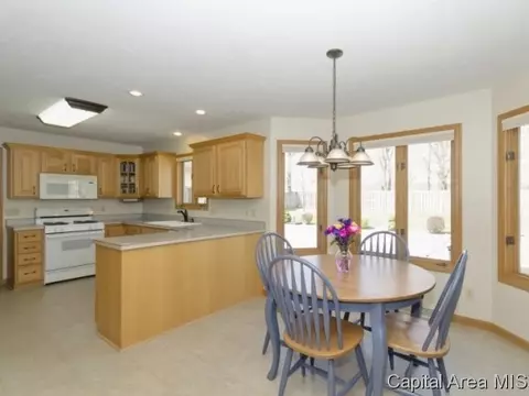 17 Spring, Riverton, IL 62561 photo 9