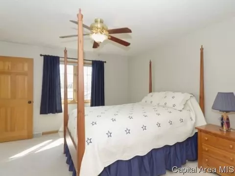 17 Spring, Riverton, IL 62561 photo 12
