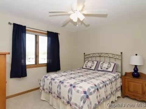 17 Spring, Riverton, IL 62561 photo 15