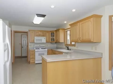 17 Spring, Riverton, IL 62561 photo 8