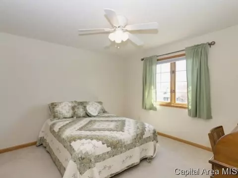 17 Spring, Riverton, IL 62561 photo 14