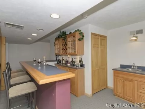 17 Spring, Riverton, IL 62561 photo 11