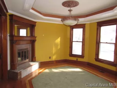 917 N 3rd St, Springfield, IL 62702 photo 16